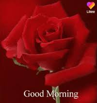 Gif love images free download with good morning message on it are ready here for you. Good Morning My Love Gifs Get The Best Gif On Giphy