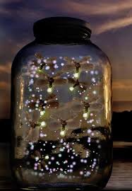 Pin By Wesley Calhoun On Tattoo Ideas Fireflies In A Jar Firefly Lighting Bugs