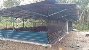 Reban ayam daging rm1.6 juta. File Reban Ayam Kampung Warisan Habeb Jpg Wikipedia