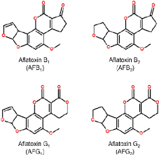 Aflatoxin b1 is an aflatoxin produced by aspergillus flavus and a. Pdf Aflatoxicosis Lessons From Toxicity And Responses To Aflatoxin B1 In Poultry Semantic Scholar