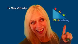 IEP Academy Introduction