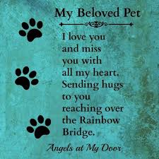 Megmeg Miss You Everyday Think About You Everyday Rip Baby Girl Pet Loss Grief Dog Poems Pet Remembrance