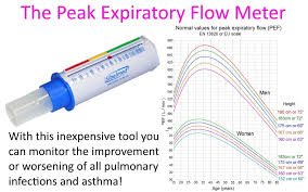 correct peak expiratory flow rate normal values chart woman