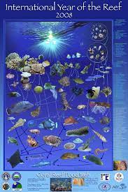 Noaa S Coral Reef Conservation Program Posters