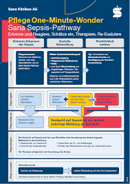 A sepsis pathway is a document that guides sepsis recognition and management. Https Www Gqmg De Media Redaktion Veranstaltungen Jahrestagung Jt 2021 Vortraege Gqmg Jt2021 Beitrag Eberl Sanasepsis Pdf