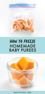 Ultimate Guide On How To Make Homemade Baby Food Easy Homemade Baby Food Freezing Baby Food Baby Food Recipes