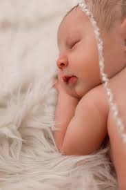 affordable lifestyle and newborn photographers?