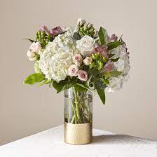 Maybe you would like to learn more about one of these? Rose All Day Flower Delivery North Fort Myers Fl North Fort Myers Florist