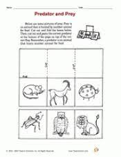 Predator And Prey Printable 2nd Grade Teachervision