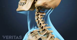 Stiff Neck Causes Symptoms And Treatment