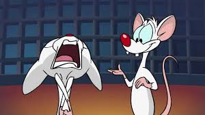 Pinky is the secondary antagonist of animaniacs, the overall titular main protagonist of pinky and the brain and pinky, and elmyra and the brain. Pinky And The Brain Official Swearing Animaniacs