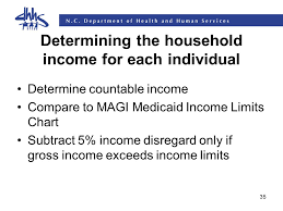 1 Magi Household Composition And Income Determination Rhonda