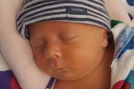 Fundraiser by Kat Phillips : Maverick's Medical Fund