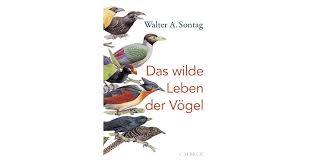 Noah beck @noahbeck ur luv'd<3 do what makes you happy business: Das Wilde Leben Der Vogel Sontag Walter A Hardcover