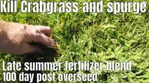 Power depot offers kohler industrial, commercial, and residential generators, atlas copco compressors and light towers, john deere construction equipment, and sales, service, parts, and rental. Diy How To Treat Lawn After Overseed Lawn Recovery Fertilizer And Kill Crabgrass And Spurge Youtube