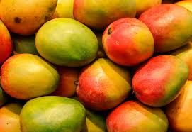 mangue