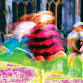 Population II event image