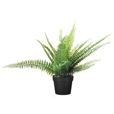 Pos�e � flanc de montagne au coeur de la for�t de san bernardino, cette r�alisation du walker workshop poss�de � premi�re vue des allures de bunker de verre. Fejka Plante Artificielle En Pot Interieur Exterieur Fougere Ikea