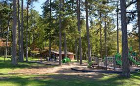 Image result for Ritchiea