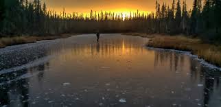 The alaskan resident is the father of four. Chris And Jessi Morse Life Below Zero Home Facebook