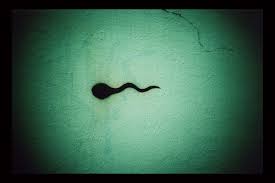 She is never enough of man's sperm. How To Store Sperm In 4 Steps Just In Case The Blog Of Author Tim Ferriss