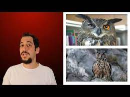 puhu kusu ve ozellikleri youtube