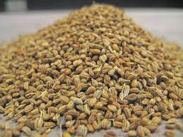 Health Tips Jaipur The Pink City Health How To Dry Basil Health Tips