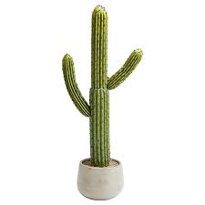 She sometimes gets very large barrel cacti which i'm always tempted to buy (or do buy) lol. Artificial Evergreen Cactus Plant Decorative Outdoor Cactus On Sale High Quality Large Cactus Indoor Plants View Artificial Cactus Plant Dongchu Product Details From Guangzhou Sheng Jie Artificial Plants Ltd On Alibaba Com