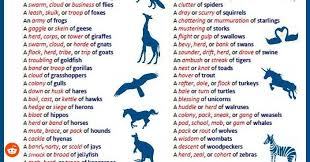 Animal Group Names Coolguides Animal Groups Animals Names
