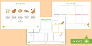 Maybe you would like to learn more about one of these? Life Cycle Of A Chicken Ks1 Worksheets Science Resource