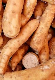 Check spelling or type a new query. Review Of Various Harvesting Options For Cassava Intechopen