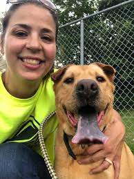 Adopt sweet and gentle dog Lefty from shelter