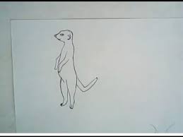 How To Draw A Meerkat Simple Drawing Youtube But if you find it painful to draw a certain way and not just awkward to draw that way, i suggest you. how to draw a meerkat simple drawing