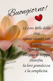 Un Buon Giorno Con Semplicita Citazioni Buongiorno Buongiorno Citazioni Sulla Felicita