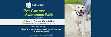 Wall of Honor 2022 | Animal Cancer Foundation