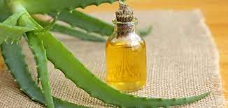 فوائد زيت الصبار للشعر aloe vera skin care homemade wrinkle cream peeling skin