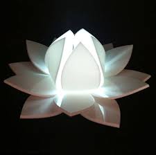 Lotus Light Fikirler