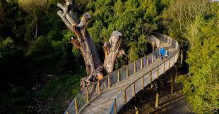 View 21 homes available for sale in palmerston north central, palmerston north city. Flights To Palmerston North From Akl Wlg Chc Hlz Air Nz