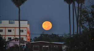Grab your camera and head outside tonight for a chance to catch a glimpse of the super pink moon, named for the small, pink flowers of the spring season. Witness The Largest Super Full Moon Of The Year On Tonight S Eastern Horizon