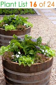 24 Stunning Container Garden Planting Ideas Small Vegetable Gardens Wine Barrel Garden Veggie Garden