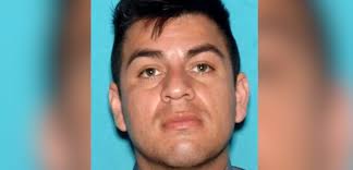 Signal Tribune around