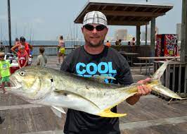 However conditions have to be right to bring them in the surf. Saltwater Pier Fishing