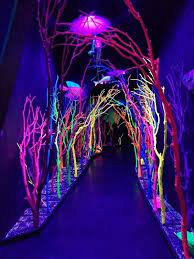 Finding The Light A Healing Spirit Light Art Installation Neon Light Art