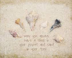Frame these quotes for the bedside table to remind you of those special moments spent on the beach. Seashell Quotes And Sayings Quotesgram