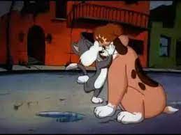 Animaniacs Photo Rita And Runt Animaniacs Classic Cartoons Rita