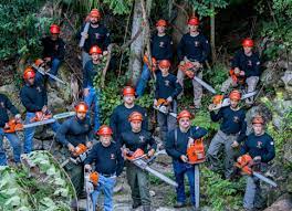 Maybe you would like to learn more about one of these? Meet The Skyfrog Tree Service Crew In Gainesville Fl