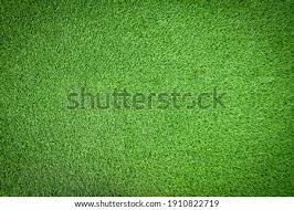 Green leaves backdrop grass backdrop with flower wedding bridal shower baby shower custom backdrop. Shutterstock Puzzlepix
