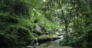 Nature and sightseeing in Bali