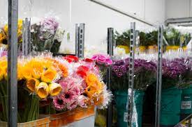 Our bulbs are ready to be delivered to you now. Floral Fresh Direct