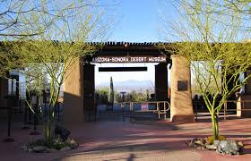 The cactus garden is a regional collection of cacti and succulents grouped by growth forms and specific genera. Arizona Sonora Desert Museum Visited Corinth Rose